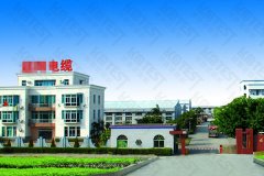 福建省福州某電線(xiàn)電纜有限公司合作線(xiàn)材扭轉(zhuǎn)試驗(yàn)機(jī)